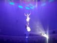 У Мінському цирку зірвалась та впала на арену гімнастка (відео)