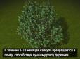 У мережі показали, як ховатимуть небіжчиків у майбутньому (відео 12+)