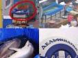 Мережу обурило знущання над дельфінами в Росії (фото)