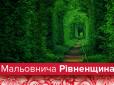 Мальовнича Рівненщина: Дивовижні місця, які зачаровують красою (фото)