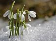 Весна настане вже в лютому: Синоптики шокували новим прогнозом
