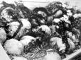 З архіву ПУ. Черепи 129 молодих дівчат знайдено поблизу Івано-Франківська. Всі були розстріляні радянськими окупантами при відступі перед німецькими військами