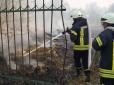 Пожежа на Донеччині: У селі Гладосове у зоні ООС вогонь із сухої трави перекинувся на житлові будинки, - ДСНС