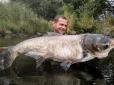З архіву ПУ. Оце риболовля!  У Дніпрі чоловік зловив товстолоба з людський зріст (фото)