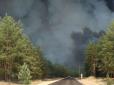 Бережіться! Лісові пожежі можуть провокувати розвиток онкозахворювань