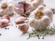 Хіти тижня. Ви будете здивовані: Вчені розкрили унікальну користь часнику після заморозки