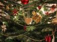 Науковці попередили про небезпеку живих новорічних ялинок. Йдеться про голки та кору