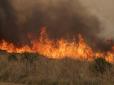 Російські МНСники у розпачі через потужну пожежу на полях: Вогонь може перекинутися на будинки і АЗС Ростовської області (відео)