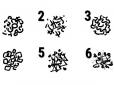 Перевірте себе! Психологічний тест: Обраний візерунок розповість про ваш характер