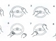 Дуже самовпевнені чи песимістичні? Те, як ви тримаєте кермо, багато розкаже про вас