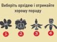 Виберіть орхідею на картинці - і отримайте потрібну вам пораду просто зараз