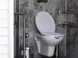 Лайфхак за копійки! Як позбутись неприємного запаху в туалеті