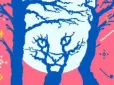 Перевірте себе! Побачене першим розкриє, яка ви людина