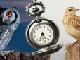 Бережіться! Дослідження показало вразливість 