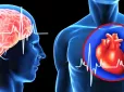 Провісник інфаркту! Названо особливе відчуття вночі перед нападом - його не можна ігнорувати