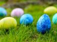Не на такий сюрприз сподівались: У Німеччині знайшли пляшку з написом 