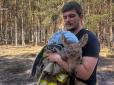 Надзвичайники врятували червонокнижне лосеня, що загубило маму в охопленому вогнем Чорнобильському лісі (фото, відео)