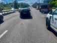 Лось ціною свого життя зупинив рух транспорту на виїзді з Києва (відео)