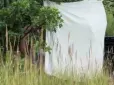 Заховалася за простирадлом і все: У Трускавці покарають відпочивальників, які гучно слухали російську музику на пляжі